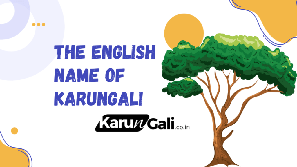 the-english-name-of-karungali-ebony-wood-karungali-malai