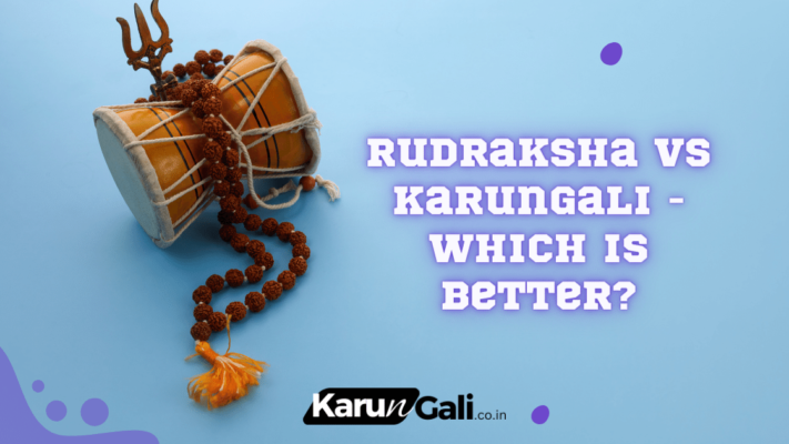 Rudraksha Vs Karungali - Which is Better