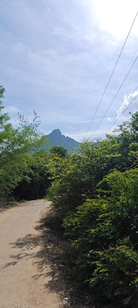 Paruvathamalai hills